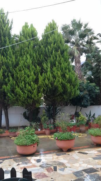 Apartment Myrto Hersonissos (Crete)