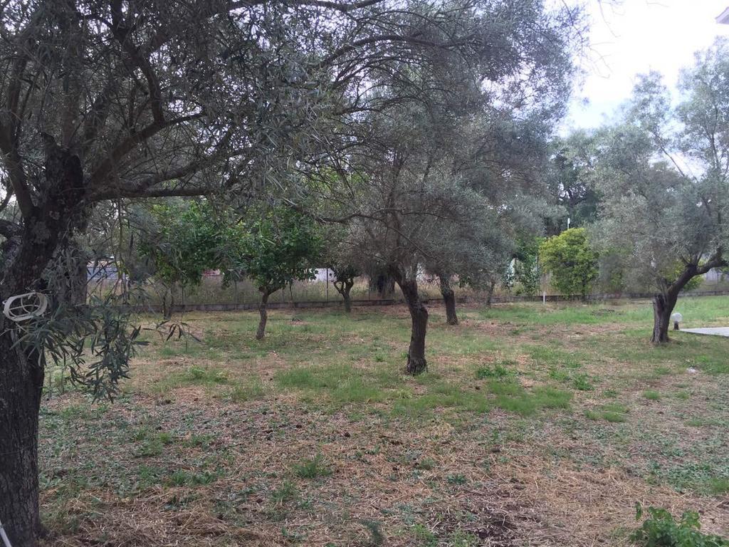 Apartment Sapfo Studios Lefkada City