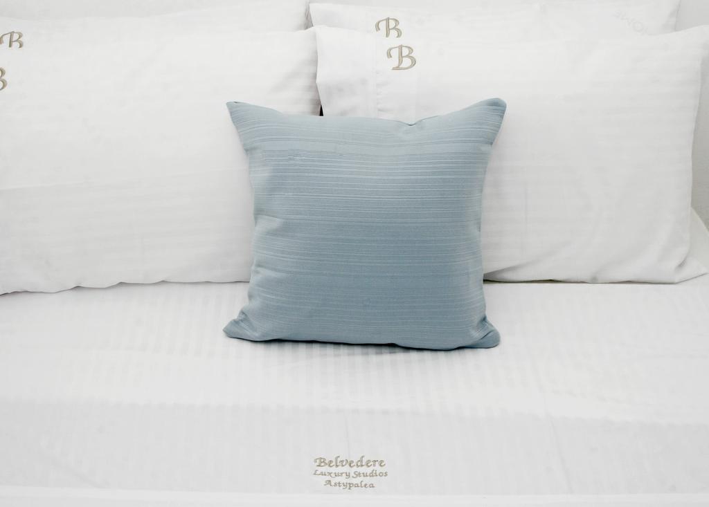 Apartment Belvedere *