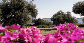 Cape Achladies - Mitikas Katsaros (Skiathos)