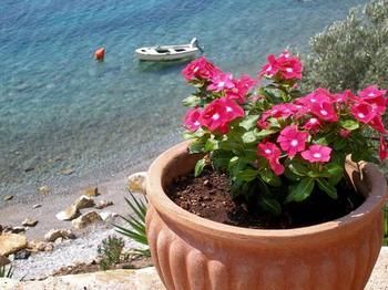 Miradouro Seafront Residences 3* Ilia