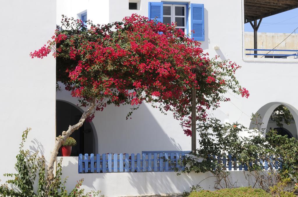 Apartment Casa Flora Antiparos