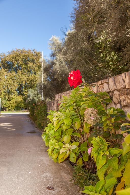 Emelia Nydri (Lefkada)