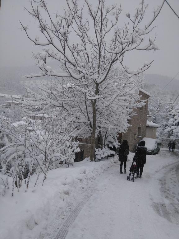 Guest house Mavrodimos Eptalofos