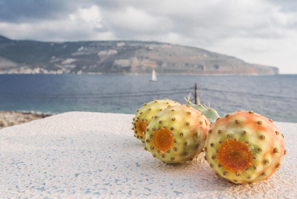 Alkyon Seaside *