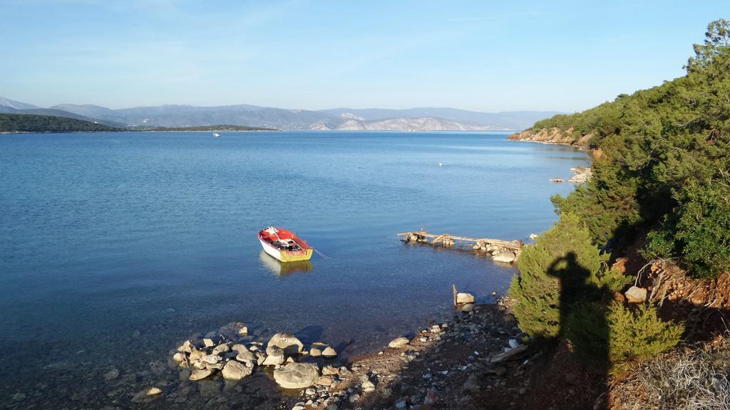 Gr8 Luxury Villas Holiday home *