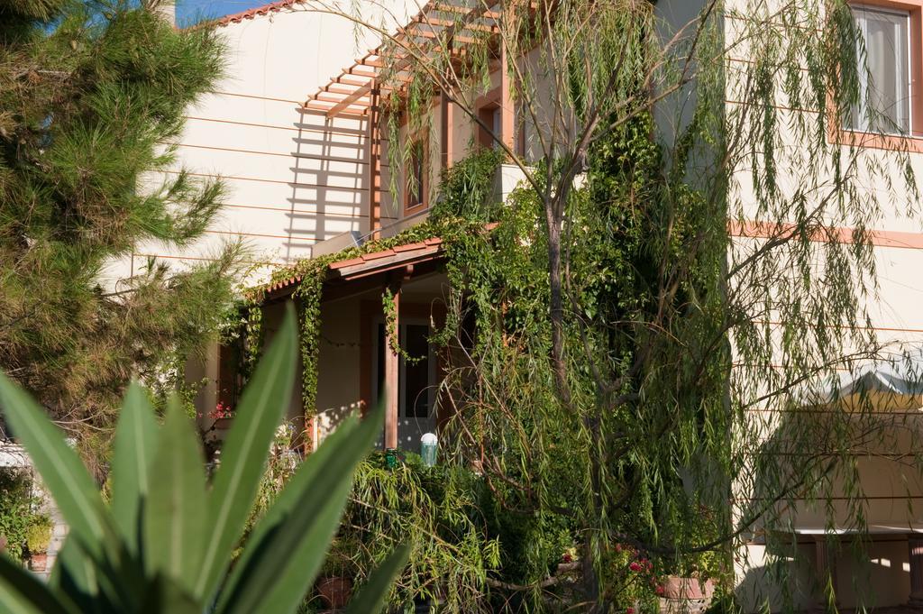Apartment Zorbas Volissos
