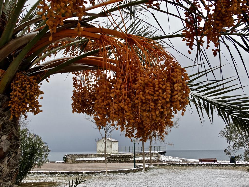 Karpetis A Paradise *