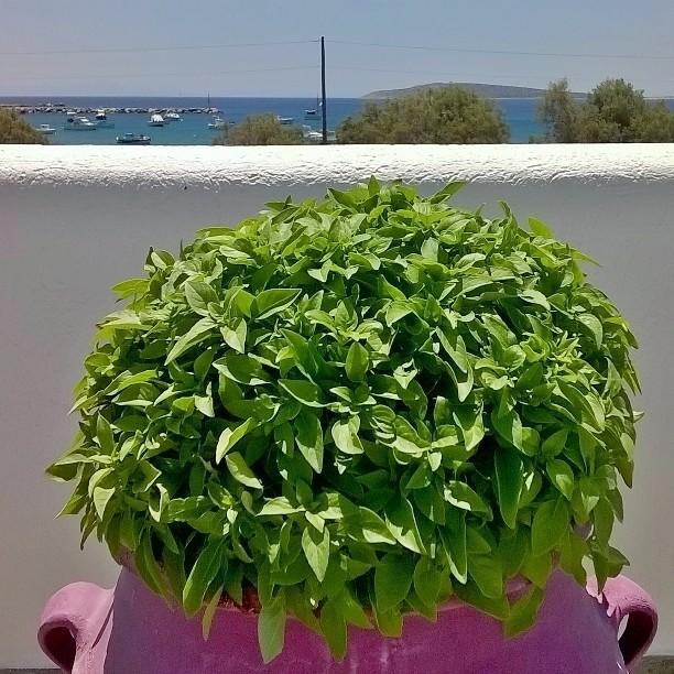 Archontiko Mary Apartment Aliki (Paros)