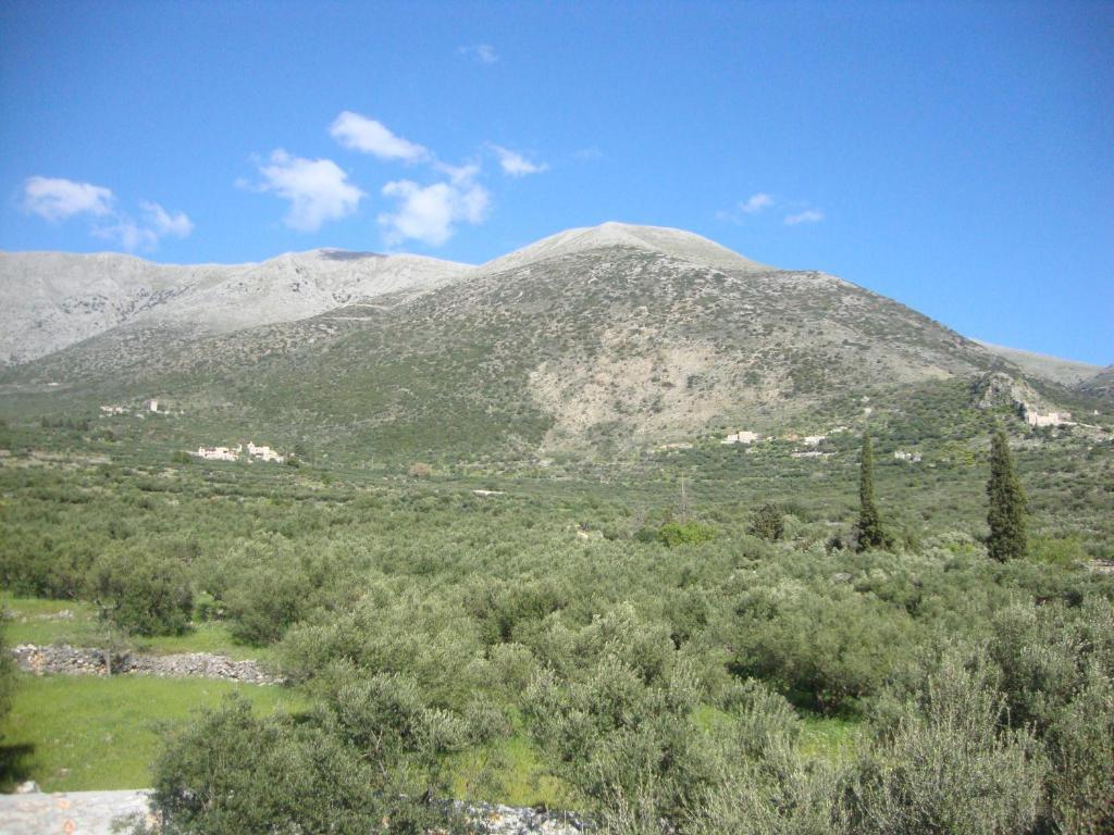 Kafiona * Pyrgos Dirou
