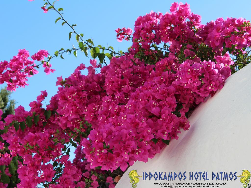 Ippokampos Hotel