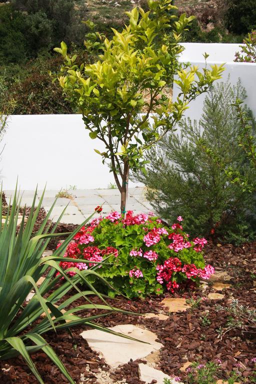 Plakoti Village Holiday home Maroulas