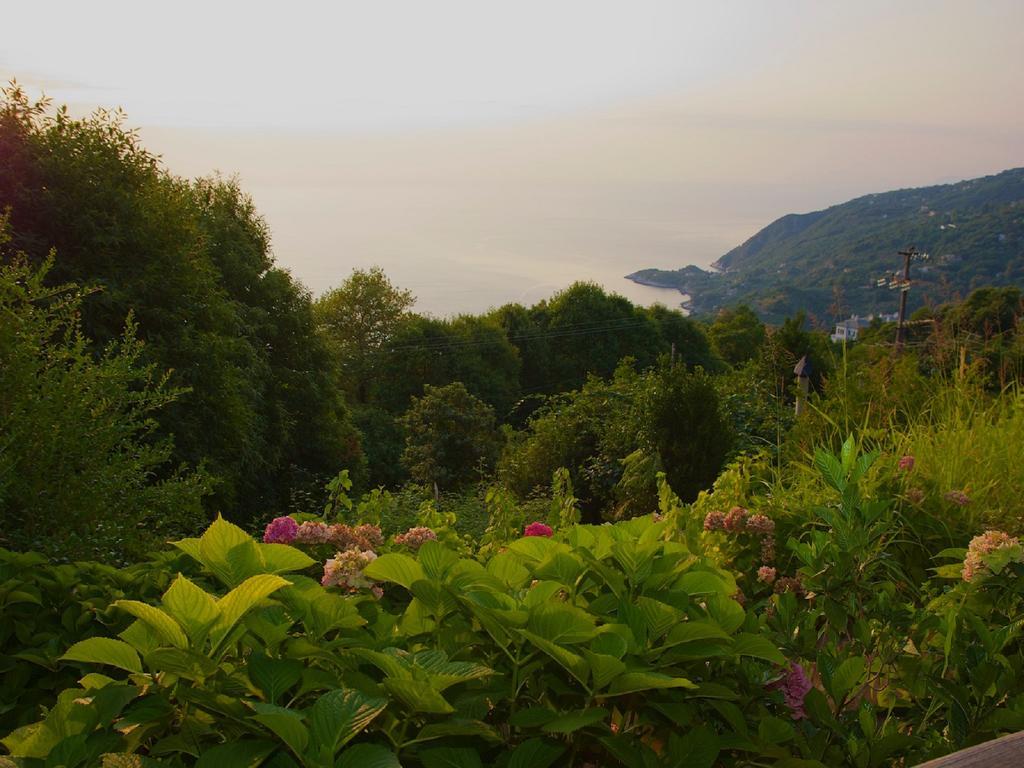 Aglaini Guest house *