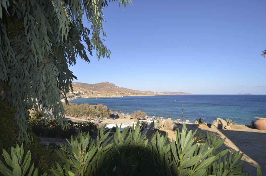 Villas Apartment Kalafatis