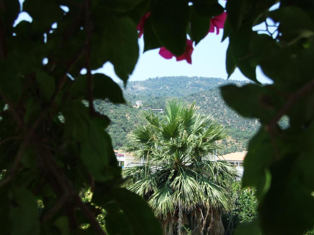 Fotinos House Guest house Skiathos Town