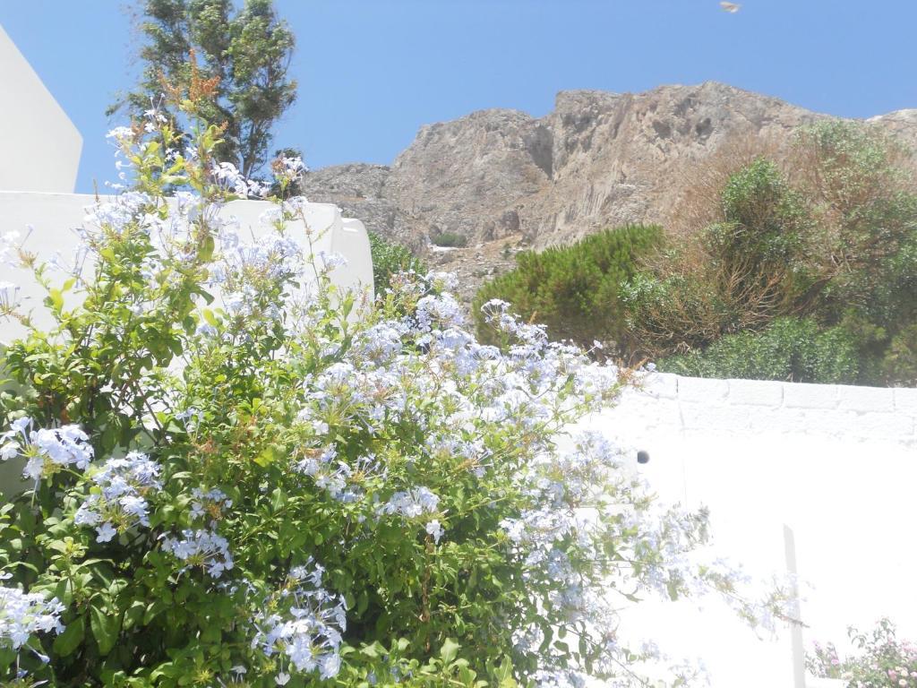 Ostria Kamari (Santorini)