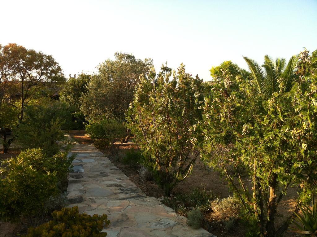 Aigina 3 Bedroom House By The Sea