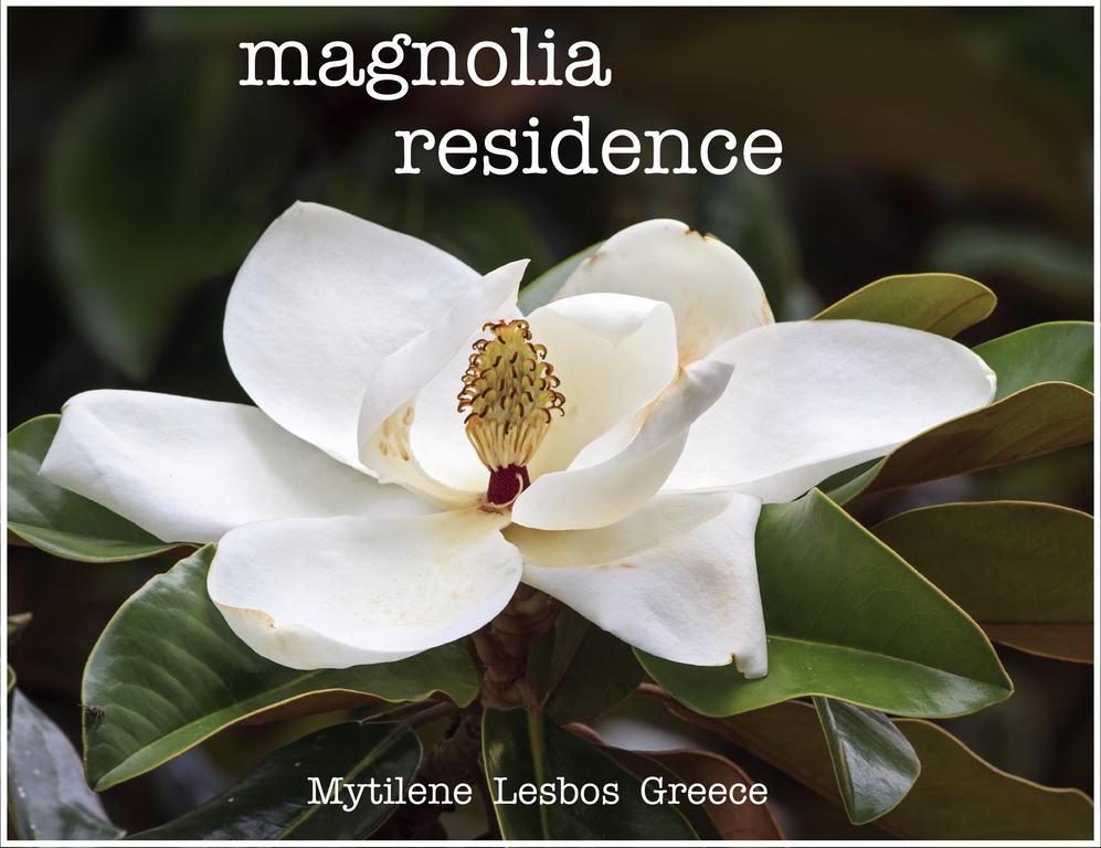 Magnolia Mytilene