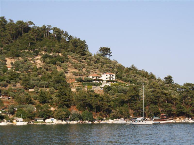 Island View Bed & Breakfast