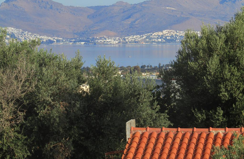 Asklipion Valley Kos Town