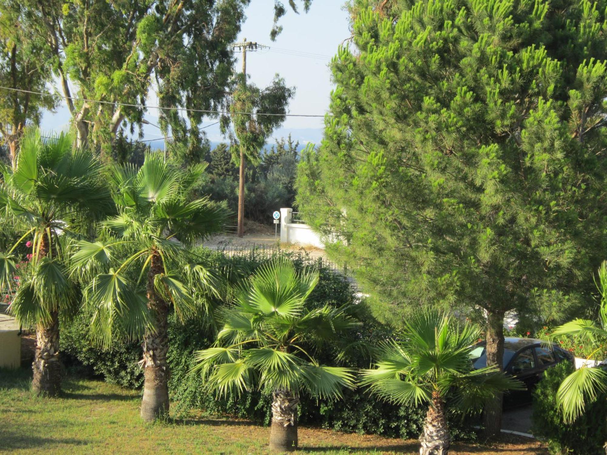 Seagull Apartment Agios Fokas (Kos)