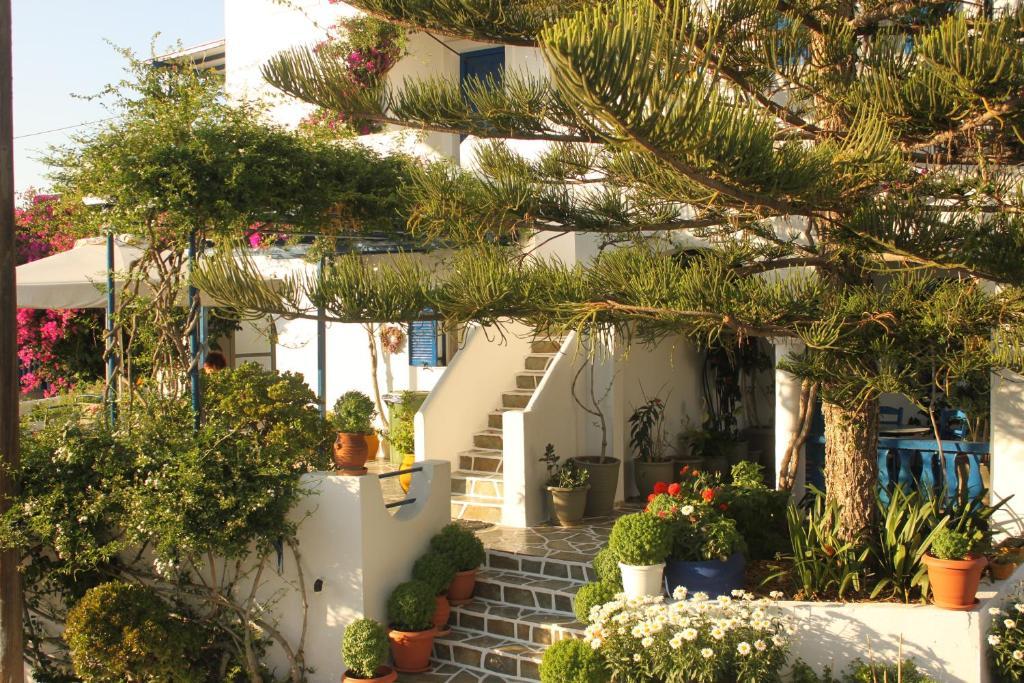 Pandora * Naousa (Paros)