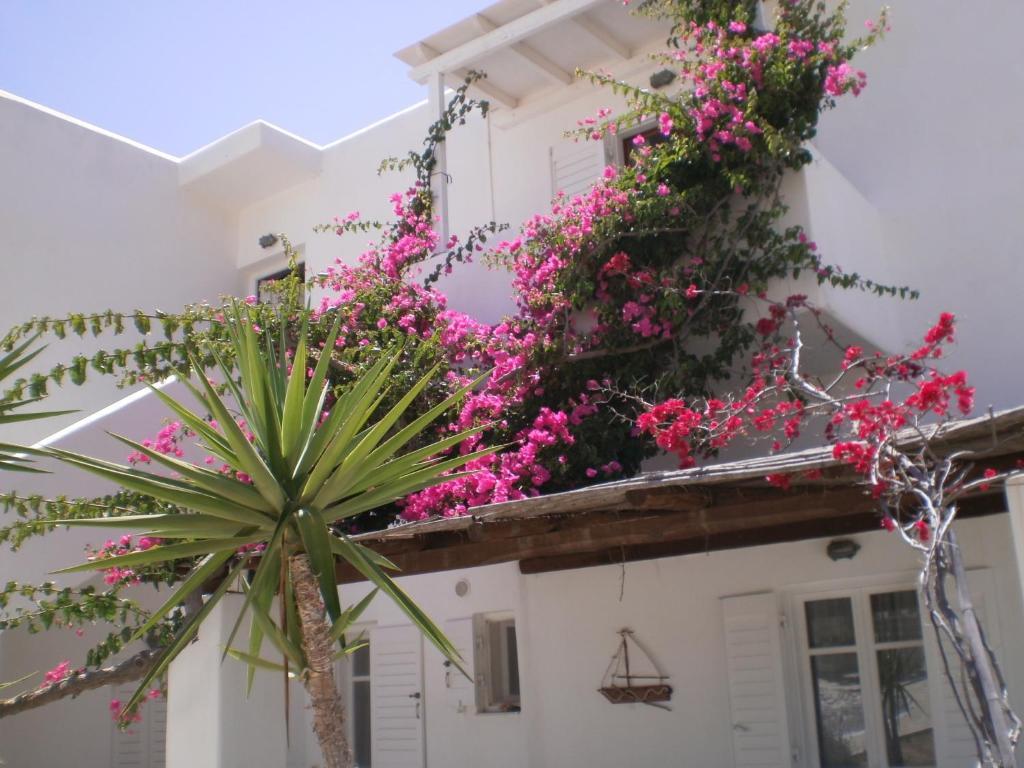 Apartment Paros Rita Piso Livadi
