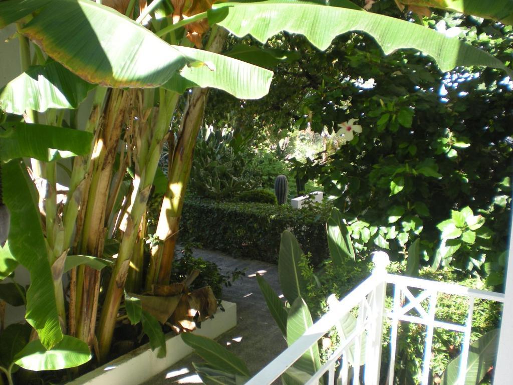 Manolis' House 2* Skiathos Town