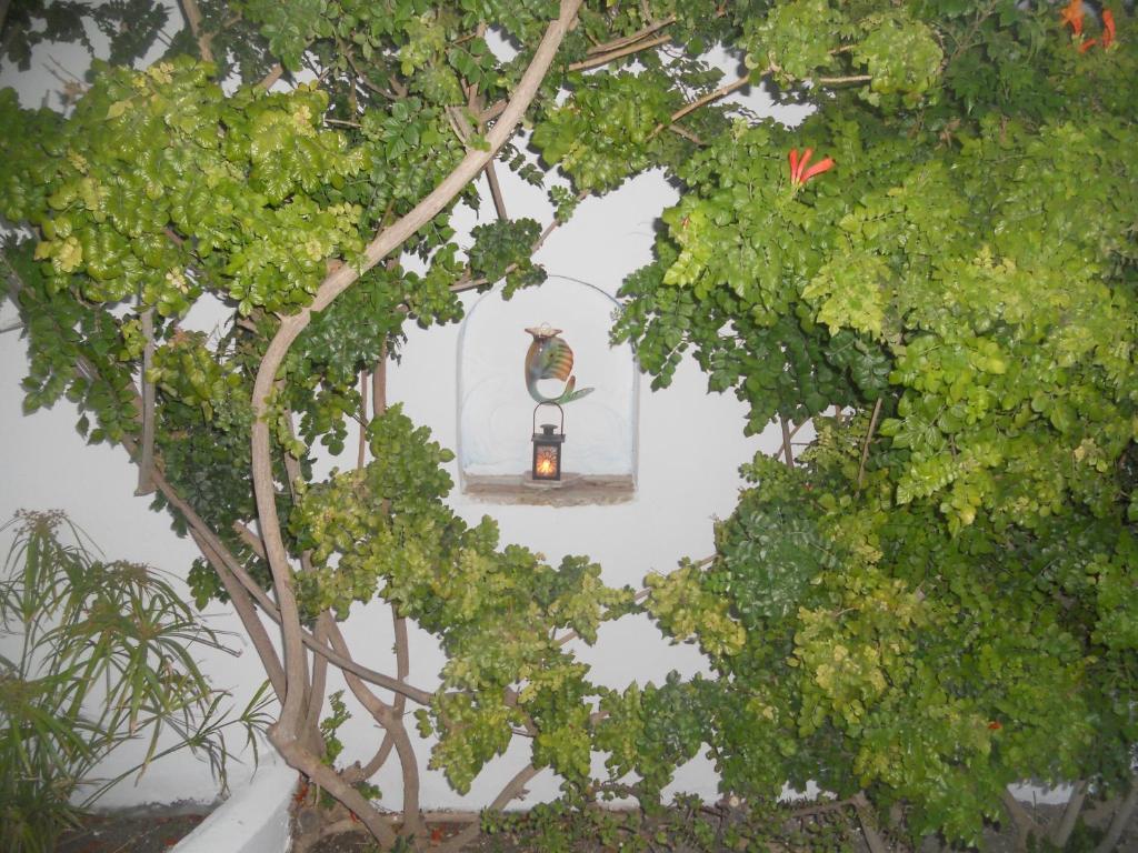 Ostria Kamari (Santorini)