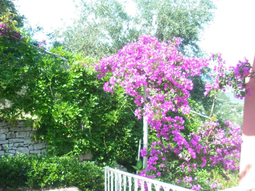 Aliki Agios Stefanos (Thinali)