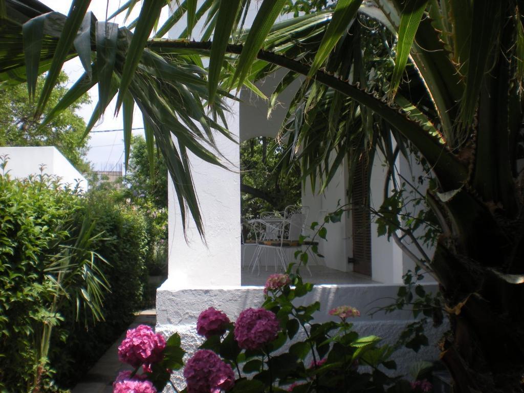 Manolis' House Aparthotel Skiathos Town