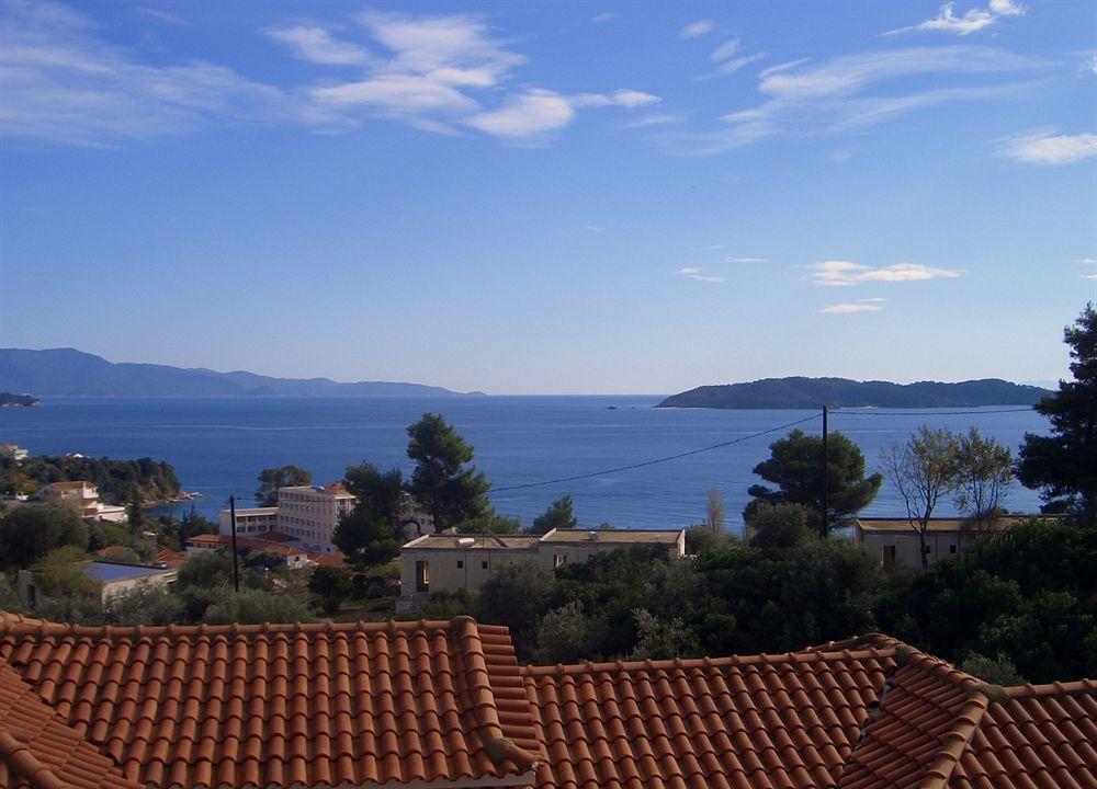 Teozenia Apartment Achladies (Skiathos)