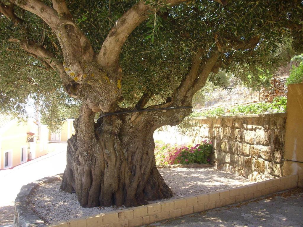 Asteras 2* Argostoli (Kefalonia)