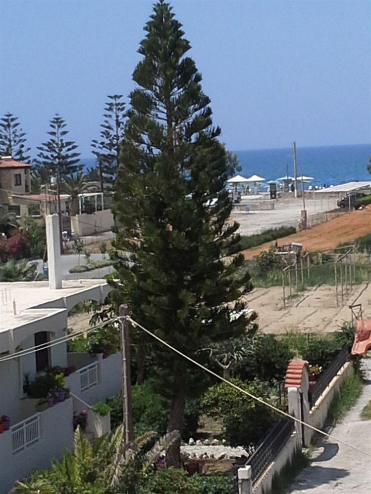 Amaril Platanes (Rethymno)