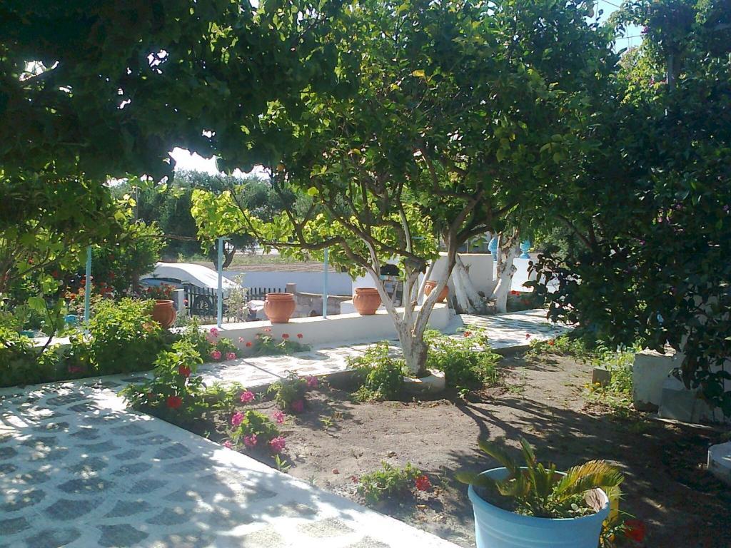 Apartment Dionysia Kefalos (Kos)