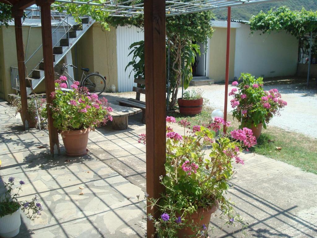 Apartment Tonia *