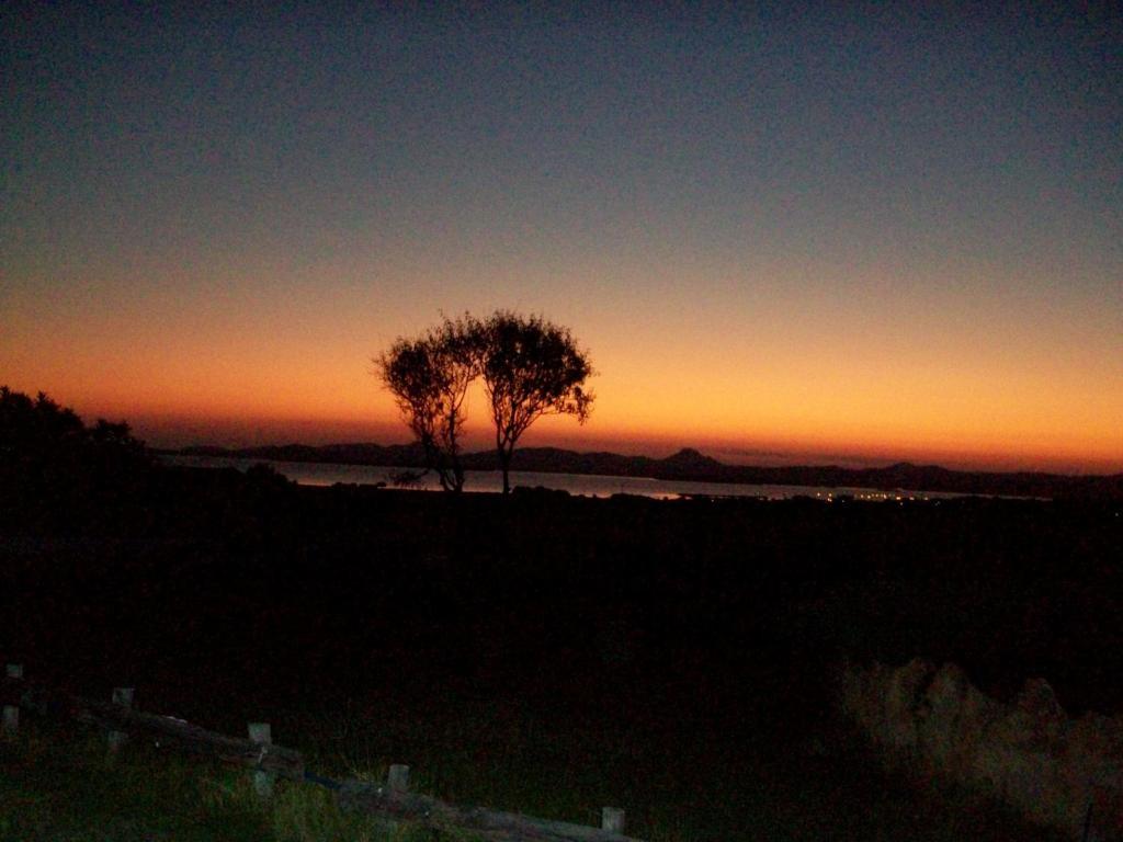 Panorama *