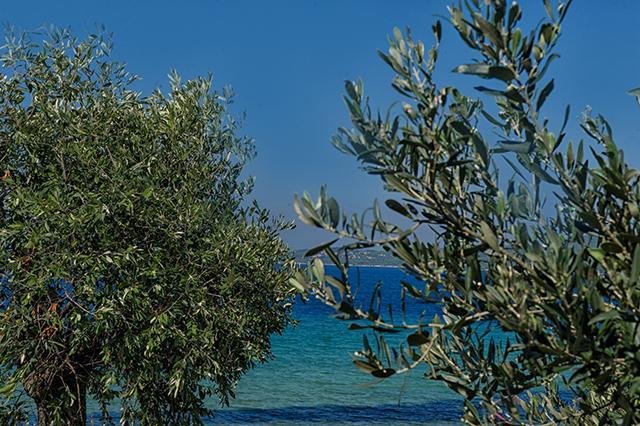 Planet Komitsa Holiday home