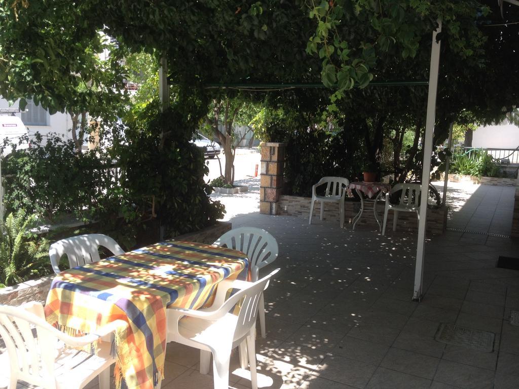 Mitrou Vasiliki