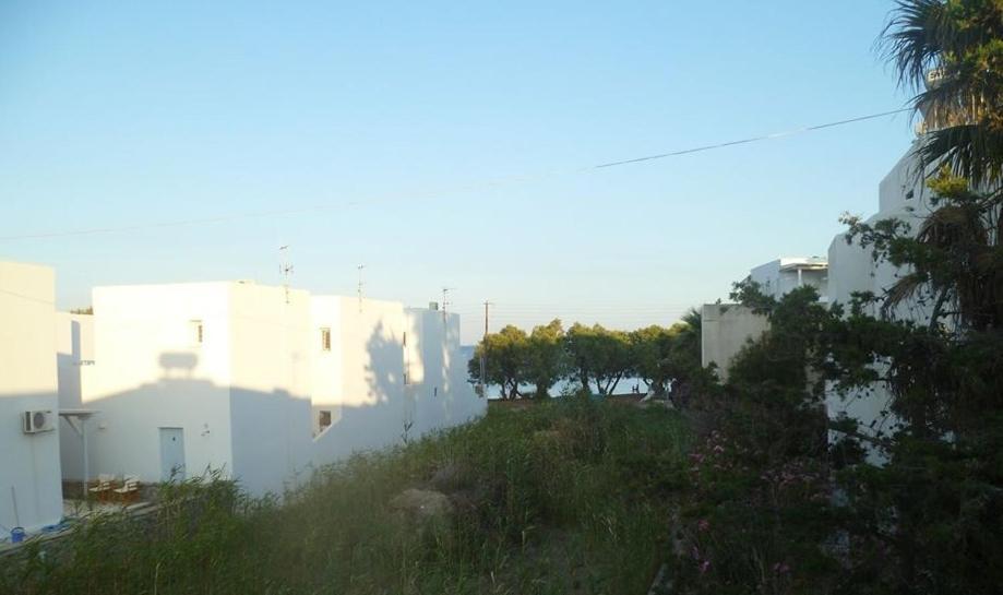 Studios Parian Blu Logaras