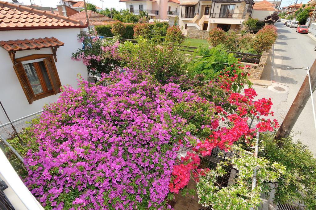 Apartment Rodon - S Avdimioti Nea Roda