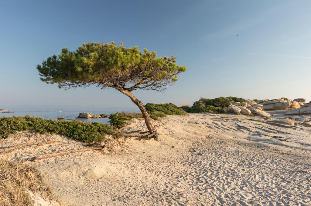 Ekies Senses Resort, A Member Of Design Vourvourou