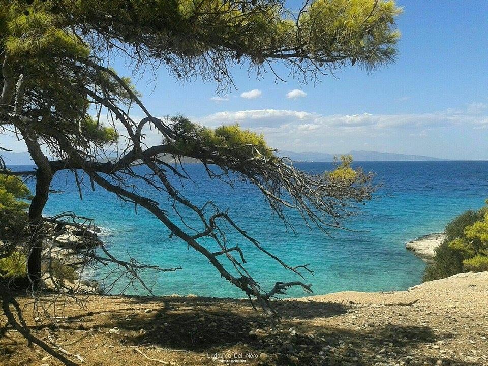 The Delfini 2* Agia Marina (Aegina)