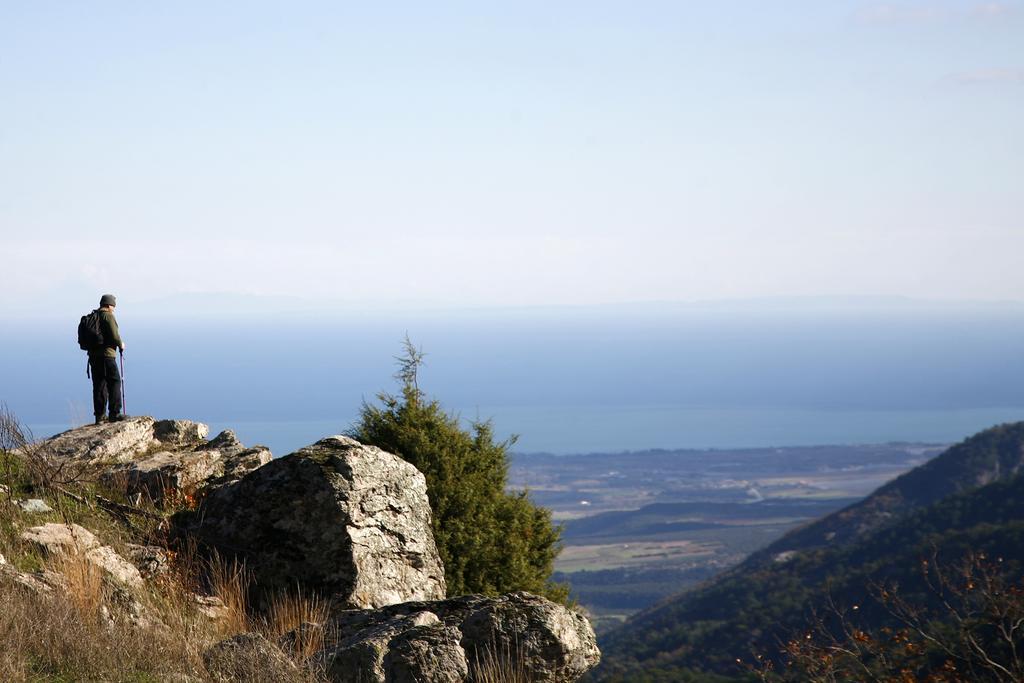 Hotel Drosos