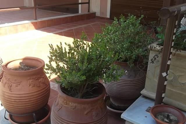Sithonia Alekos Luxury Experience Metamorfosi (Sithonia)