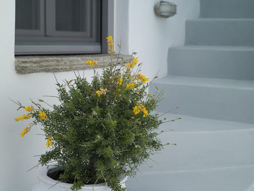 Guest house Tutti Blu Tinos Living Space