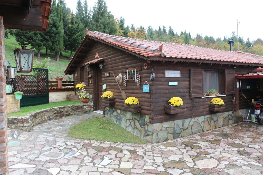 Country house Traditional Trikala (Thessaly)