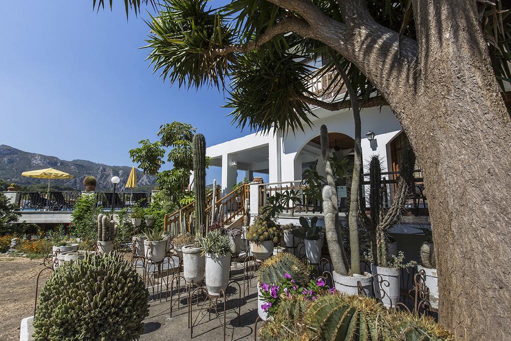 Hotel Venus Samos Town