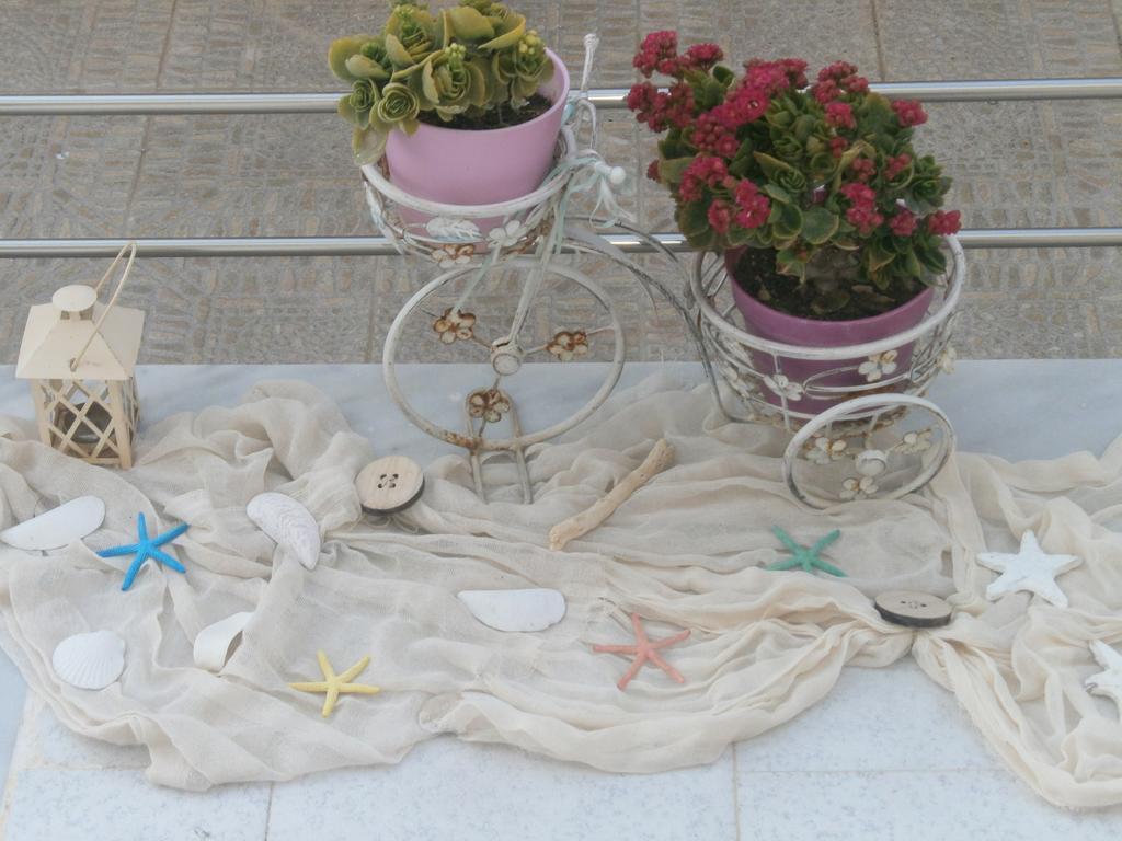 Antigoni Agia Galini (Crete)