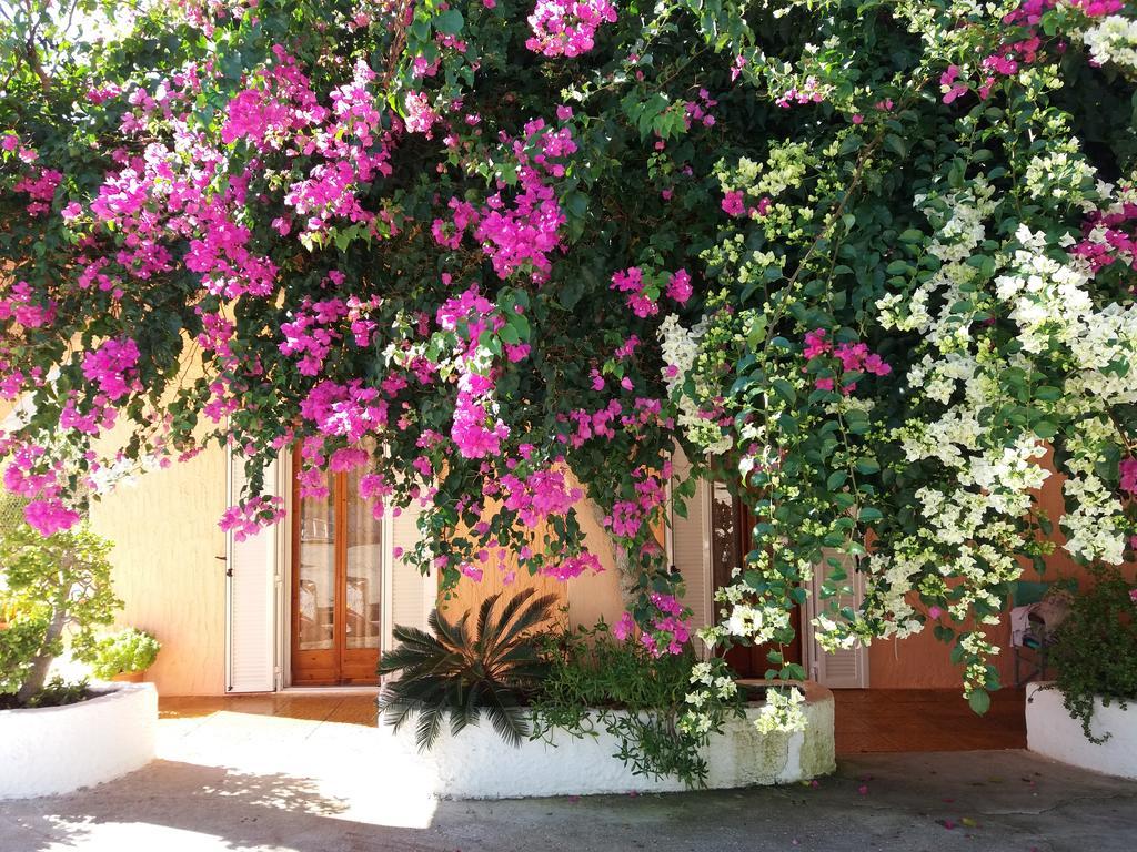 Constantinos * Lassi (Kefalonia)